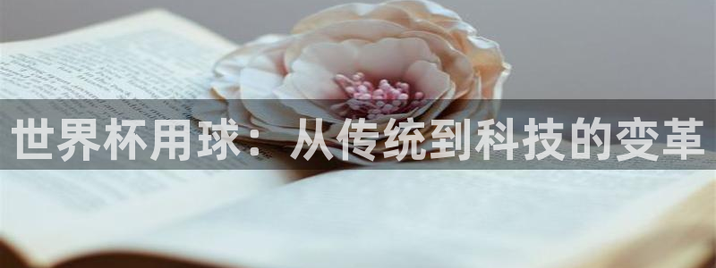 2026年世界杯:世界杯用球:从传统到科技的变革