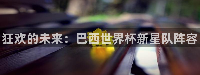 2026世界杯中国队:狂欢的未来:巴西世界杯新星队阵容