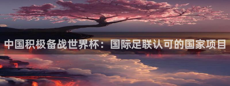 2026世界杯预选赛:中国积极备战世界杯:国际足联认可的国家项目