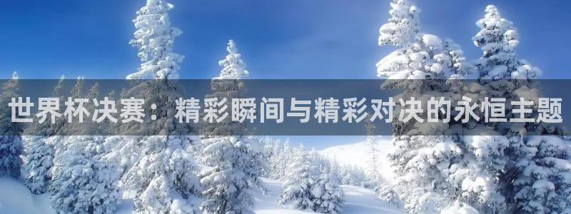 2026年男足世界杯:世界杯决赛:精彩瞬间与精彩对决的永恒主题