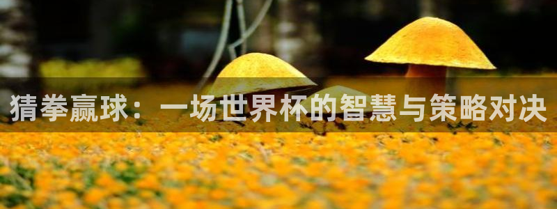 世界杯时间:猜拳赢球:一场世界杯的智慧与策略对决