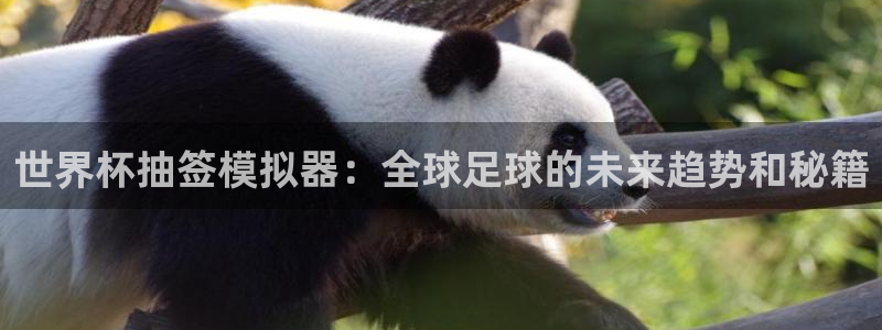 世界杯2026赛程时间表格:世界杯抽签模拟器:全球足球的未来趋势和秘籍