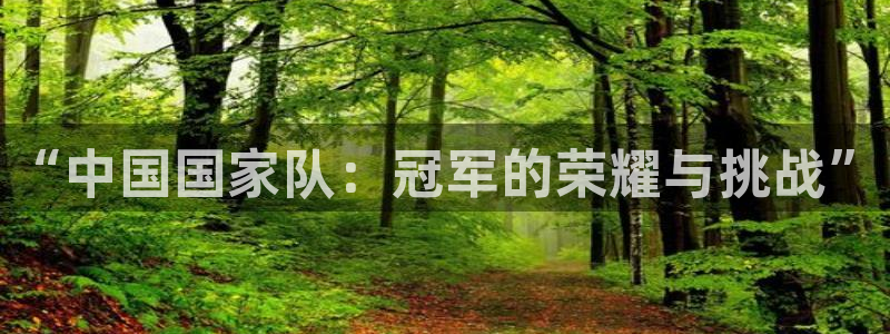 2026世界杯预选赛:“中国国家队:冠军的荣耀与挑战”