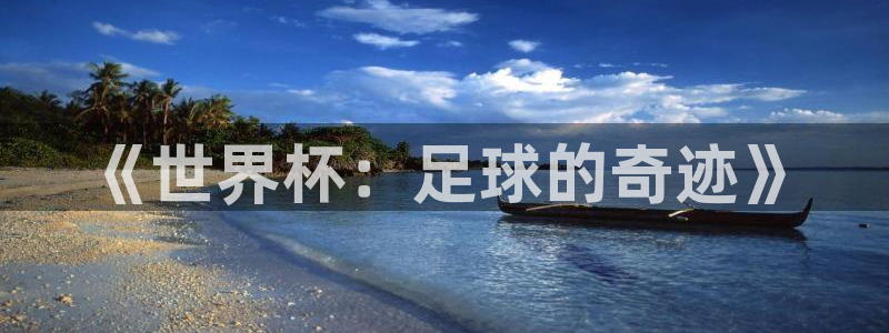 2026世界杯亚洲预选赛赛程:《世界杯:足球的奇迹》
