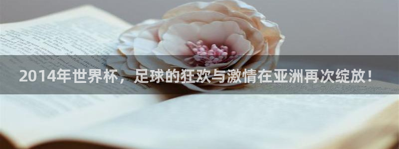 法国杯2026赛程表:2014年世界杯,足球的狂欢与激情在亚洲再次绽放!