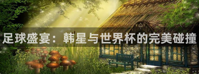 世界杯 赛程:足球盛宴:韩星与世界杯的完美碰撞